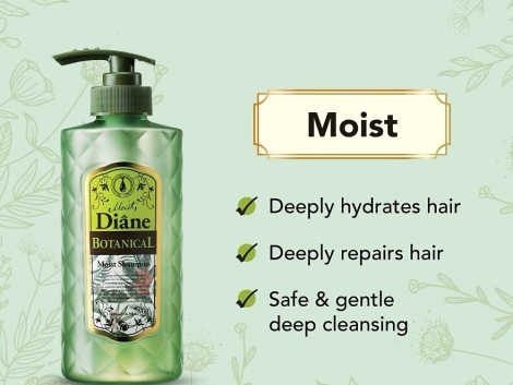 504213229_17960532017946401_6094233652674210541_n