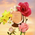 509866594_17962317980946401_6283782313719893858_n